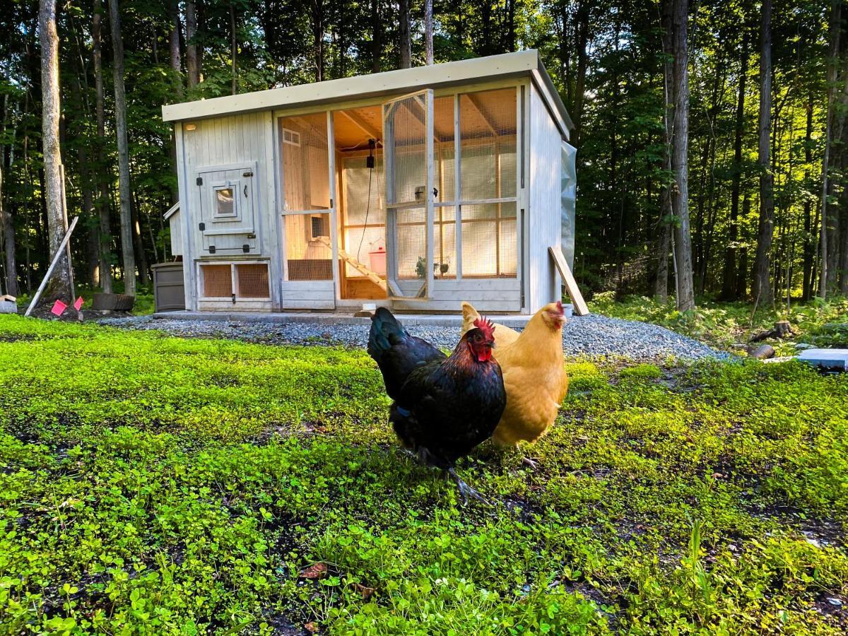 Le Camp Cache Shefford Bed and Breakfast Εξωτερικό φωτογραφία